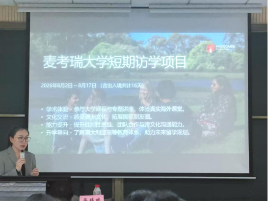 娱乐城官网